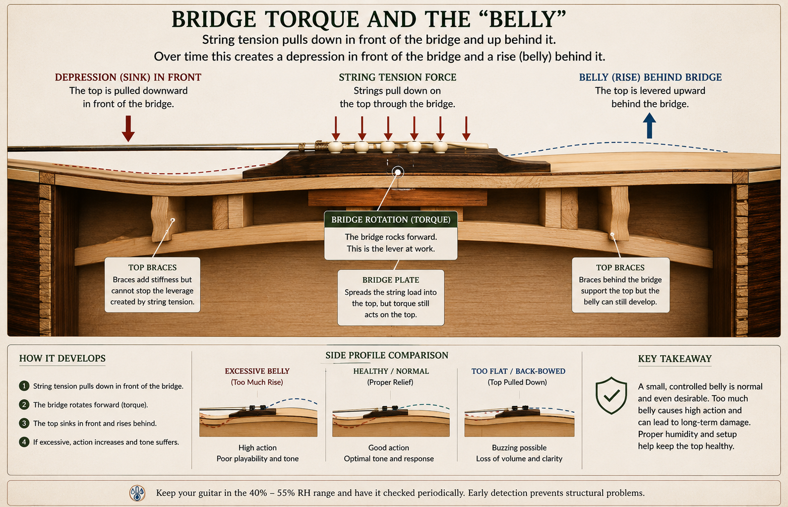 Acoustic guitar bridge torque diagram showing depression in front of the bridge and normal or excessive belly behind it.
